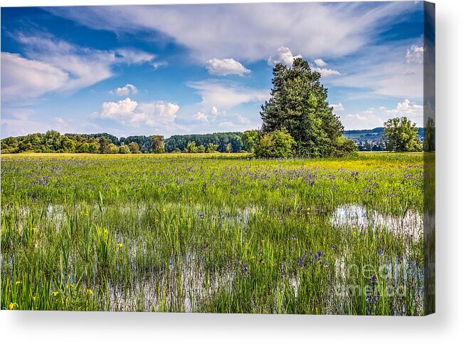 Wollmatinger-ried Acrylic Print featuring the photograph Wollmatinger Ried by Bernd Laeschke