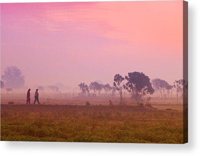 Scenics Acrylic Print featuring the photograph Women Villagers Crossing Field At Dawn by Adrian Pope