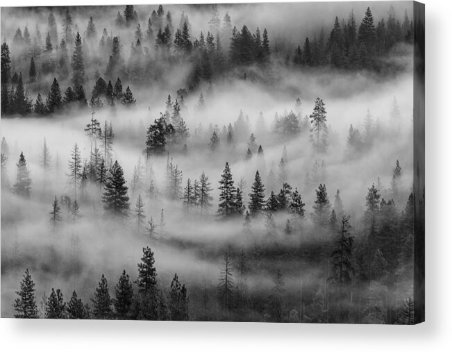 Black And White Acrylic Print featuring the photograph Yosemite Valley Fog by Rand Ningali