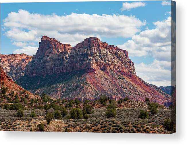 Zion Acrylic Print featuring the photograph Zion by Mark Duehmig