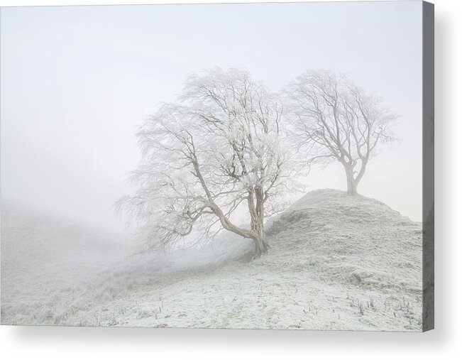 Winter Acrylic Print featuring the photograph Sentinels by Anita Nicholson