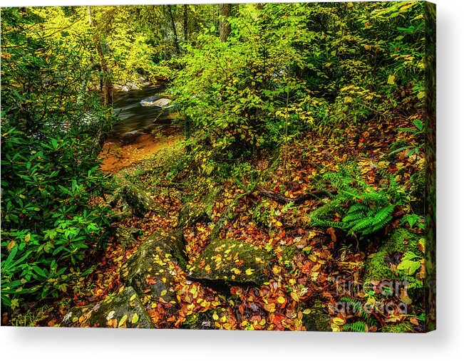 Cranberry River Acrylic Print featuring the photograph Autumn Rain Cranberry River #1 by Thomas R Fletcher