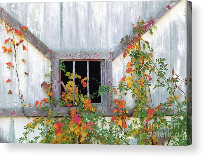 Window Acrylic Print featuring the photograph Barn Window #2 by Nicki McManus