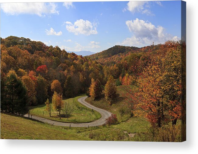 Scenics Acrylic Print featuring the photograph Curvy Road #1 by JillLang