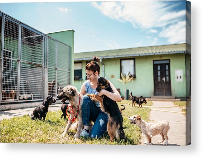 People Acrylic Print featuring the photograph Dog shelter #1 by Mladenbalinovac