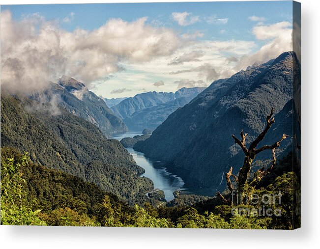 Milford Acrylic Print featuring the photograph Entrance of Doubtful Sound by Patricia Hofmeester