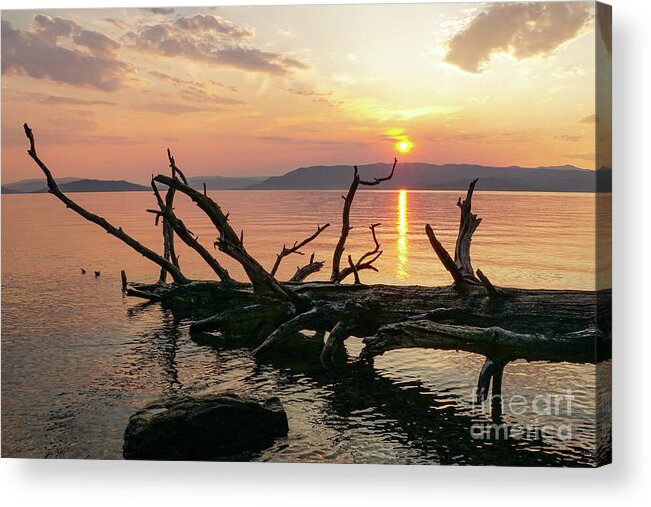 Flathead Lake Acrylic Print featuring the photograph Fallen Giant in August Sunset #1 by Nancy Gleason