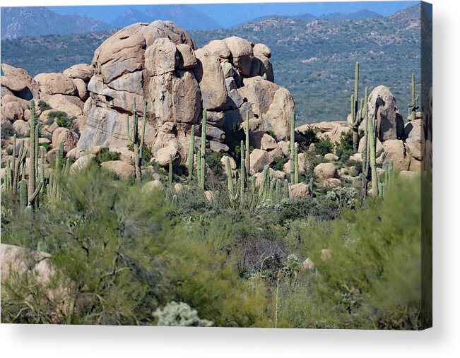 Granite Boulders And Saguaros Acrylic Print featuring the digital art Granite Boulders and Saguaros #1 by Tom Janca