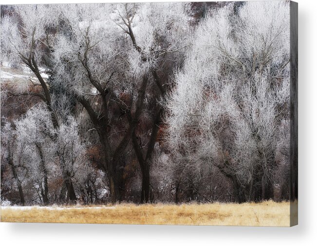 Co Acrylic Print featuring the photograph Hoar Frost #2 by Doug Wittrock