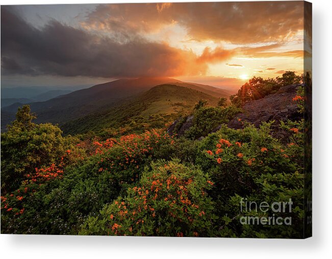 Tennessee Acrylic Print featuring the photograph In a Dream by Anthony Heflin