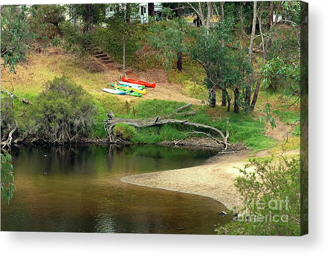 Blackwood Acrylic Print featuring the photograph Just Resting at the Blackwood by Elaine Teague