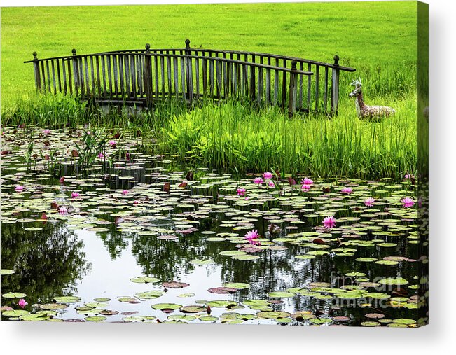 America Acrylic Print featuring the photograph Lily Pond Bridge 2 by Susan Cole Kelly