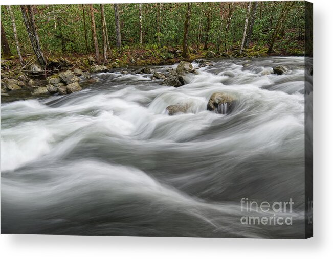 Middle Prong Little River Acrylic Print featuring the photograph Middle Prong Little River 57 by Phil Perkins