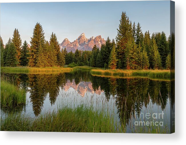 Morning Acrylic Print featuring the photograph Morning Reflection- Grand Teton National Park #1 by Bret Barton