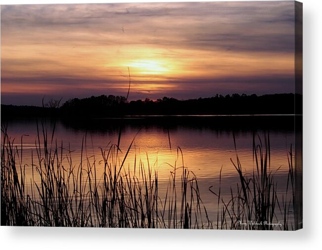 Nature Acrylic Print featuring the photograph November Sunset by Mary Walchuck