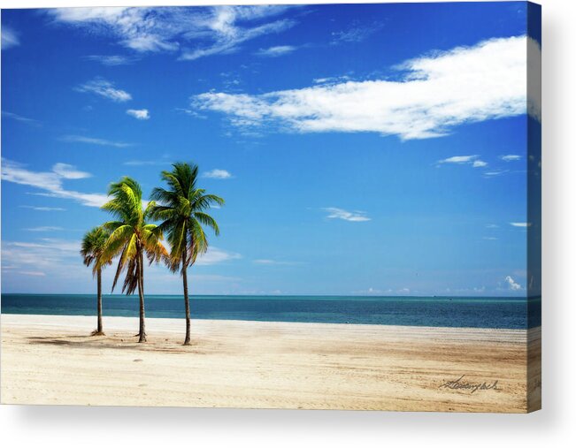 Color Acrylic Print featuring the photograph Palms on the Beach #1 by Alan Hausenflock