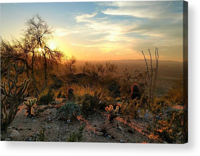  Acrylic Print featuring the photograph Phoenix Sunset #1 by Brad Nellis