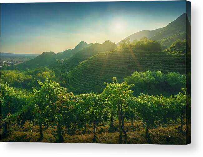 Prosecco Acrylic Print featuring the photograph Prosecco vineyards and Setting Sun by Stefano Orazzini