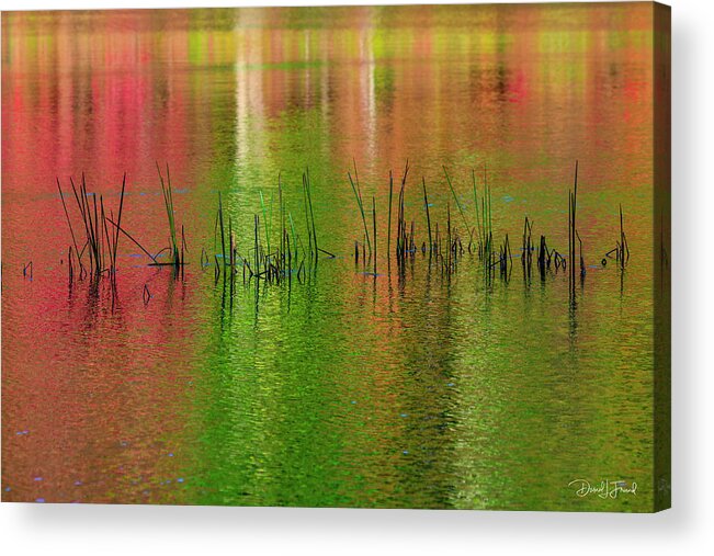 Red And Green Acrylic Print featuring the photograph Red and Green colors reflection in water #2 by Dan Friend