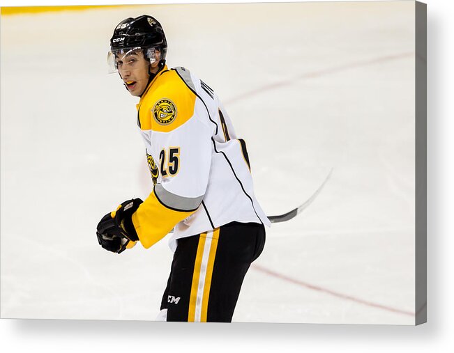 People Acrylic Print featuring the photograph Sarnia Sting V Windsor Spitfires #1 by Dennis Pajot