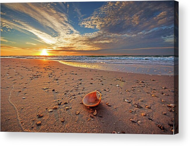 Alabama Acrylic Print featuring the photograph Seashell by the Seashore #1 by Michael Thomas
