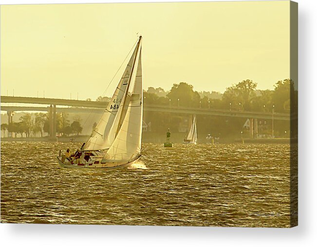 Color Acrylic Print featuring the photograph Severn River Sailing -1 #1 by Alan Hausenflock