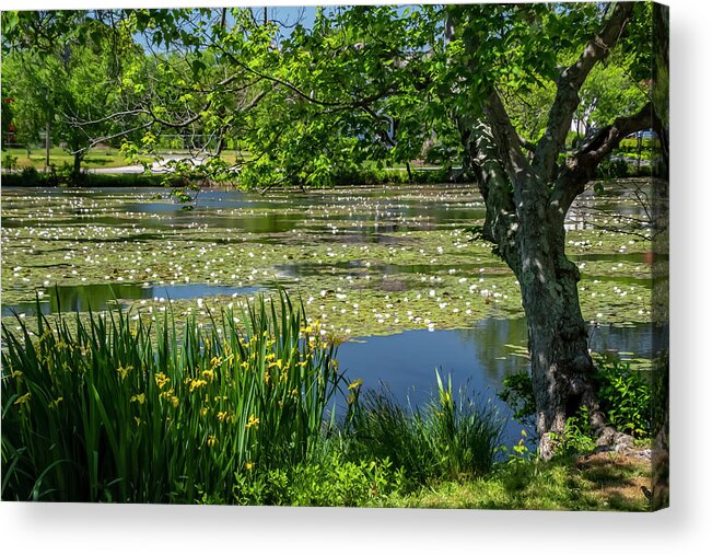Landscape Acrylic Print featuring the photograph Spring Lake #1 by Cathy Kovarik