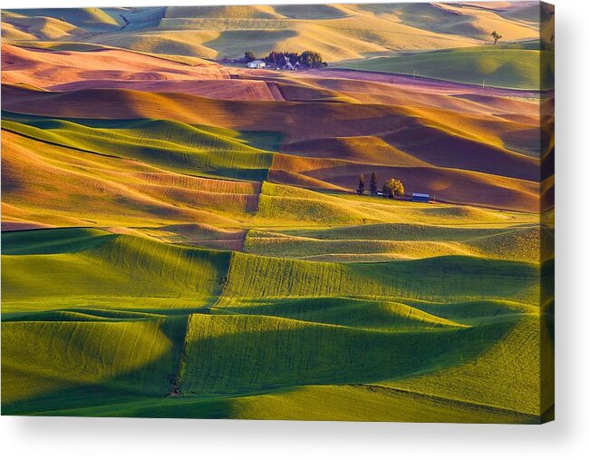 Spring On The Palouse Acrylic Print featuring the photograph Spring on the Palouse by Lynn Hopwood