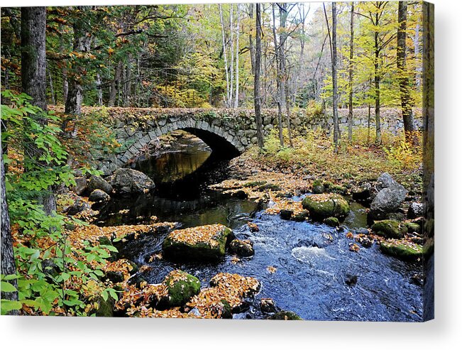 Stone Arch Autumn New England Hampshire Nh Bridge Water Stream Trout Fishing Leaves Foliage Fall Brook Acrylic Print featuring the photograph Stone Arch Bridge in Autumn by Wayne Marshall Chase
