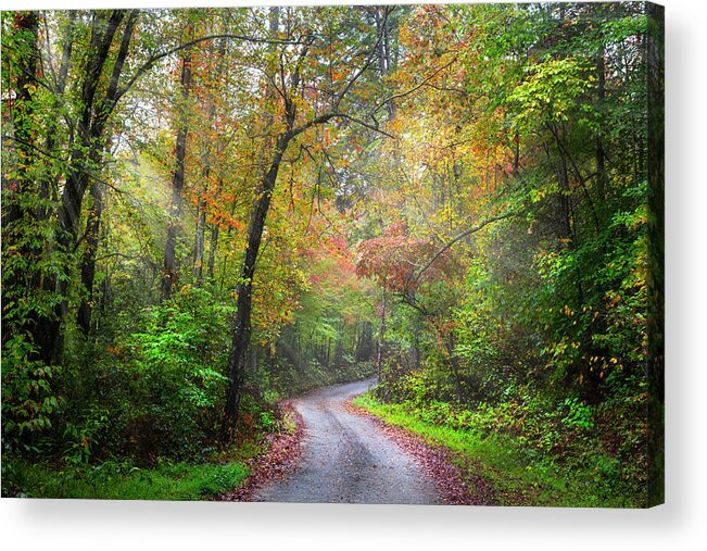 Trail Acrylic Print featuring the photograph Sunlit Autumn Trails #1 by Debra and Dave Vanderlaan