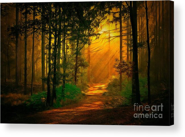 Sunrise In The Forest Acrylic Print featuring the digital art Sunrise In The Forest #1 by Jerzy Czyz