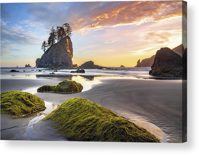 Landscape Acrylic Print featuring the photograph Sunset reflections on the beach at Olympic National Park by Robert Miller