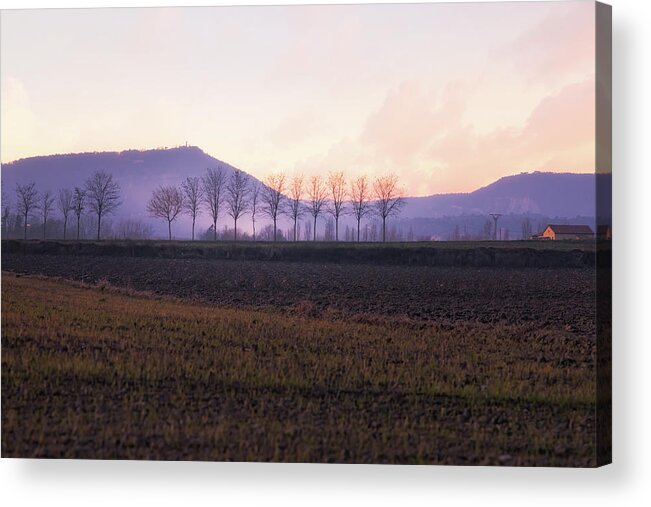 Agriculture Acrylic Print featuring the photograph The mist settles in the valley after sunset by Jordi Carrio Jamila
