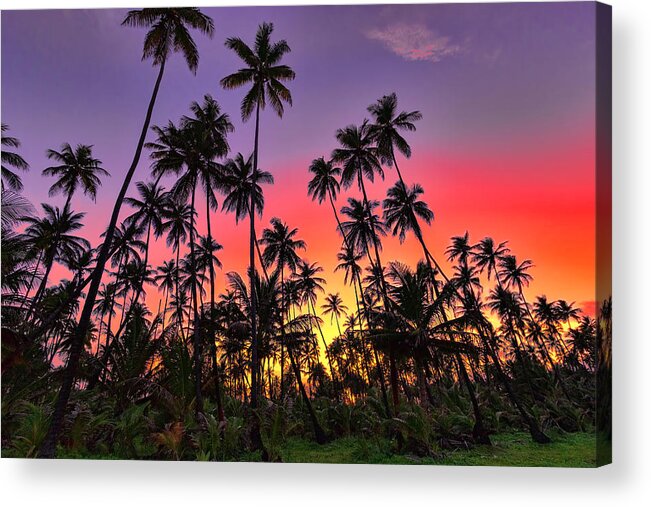 Sunset Acrylic Print featuring the photograph Tropical Sunset #1 by Nadia Sanowar