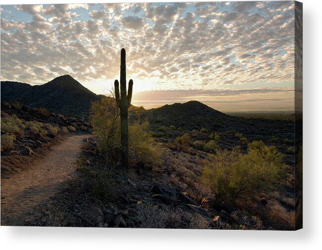 Sunrise Acrylic Print featuring the photograph Turnbuckle Trail by Jim Painter