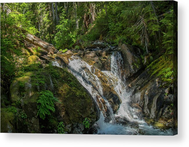 Mount Rainier National Park Acrylic Print featuring the photograph Watching the River Flow #2 by Doug Scrima