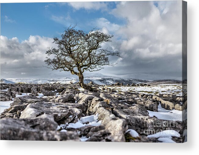 England Acrylic Print featuring the photograph Winskill Stones by Tom Holmes Photography