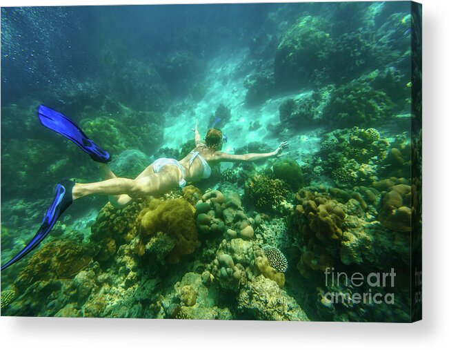 Surin Islands Acrylic Print featuring the photograph Woman bikini apnea Surin Islands #1 by Benny Marty