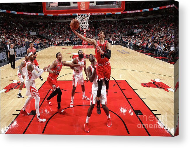 Zach Lavine Acrylic Print featuring the photograph Zach Lavine #1 by Gary Dineen