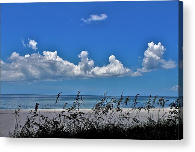 Acrylic Print featuring the photograph Naples Beach by Donn Ingemie