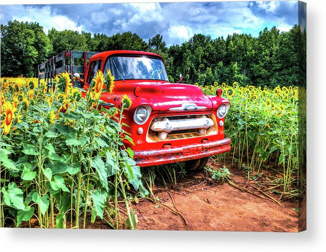 1957 6400 Acrylic Print featuring the photograph 1957 Chevy Truck by Anthony Sacco