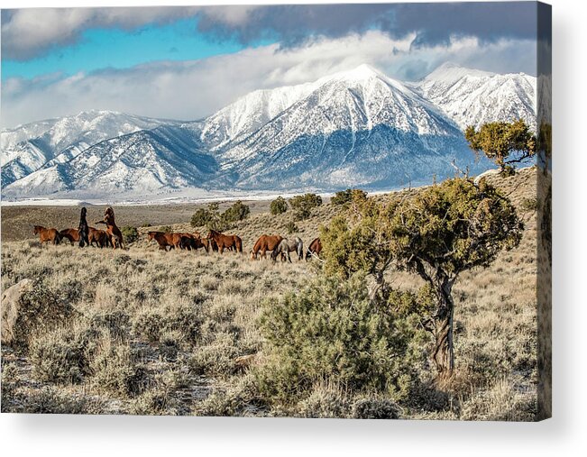  Acrylic Print featuring the photograph 1dx25710 by John T Humphrey