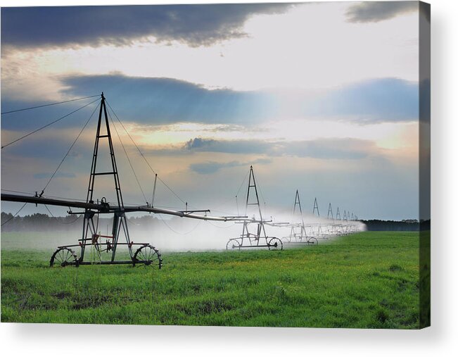 Agriculture Acrylic Print featuring the photograph Automatic Irrigation Of Agriculture Field #2 by Mikhail Kokhanchikov