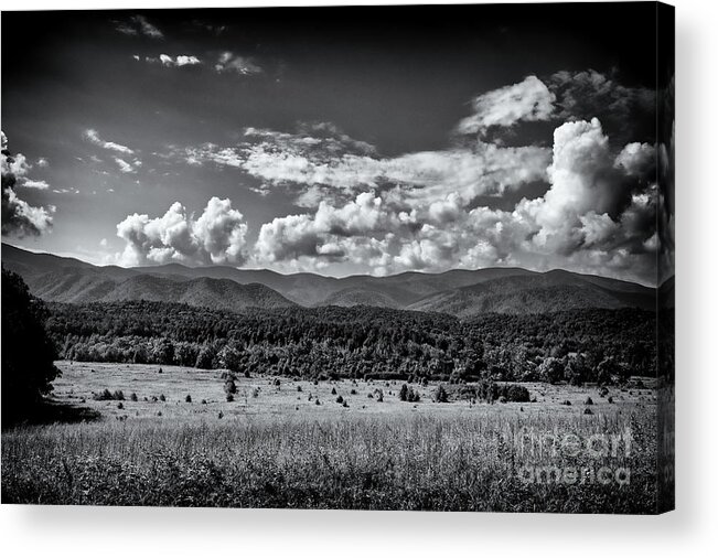Tennessee Acrylic Print featuring the photograph Black and White Landscape #2 by Phil Perkins