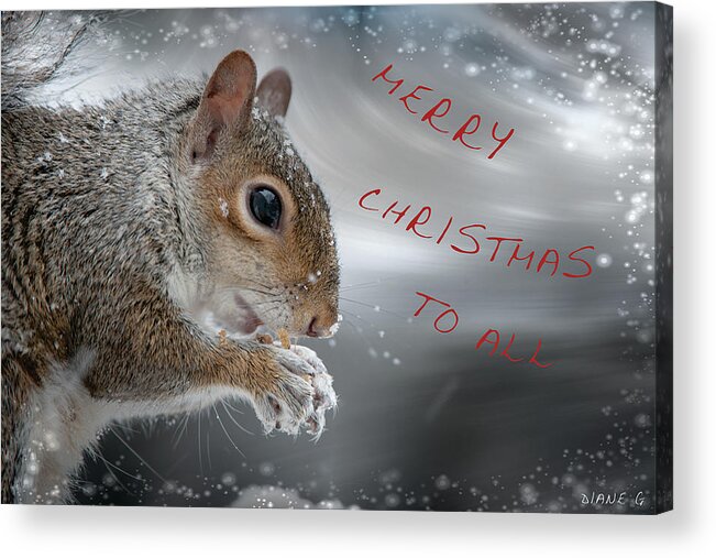 Christmas Squirrel Acrylic Print featuring the photograph Christmas Squirrel #2 by Diane Giurco