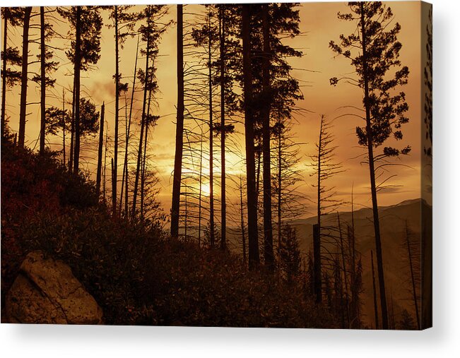 Sunrise Acrylic Print featuring the photograph Early Morning #1 by Ron Roberts