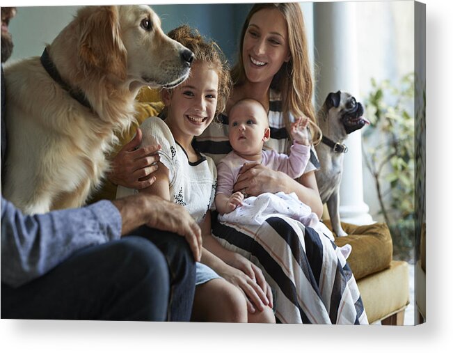 Pets Acrylic Print featuring the photograph Family sitting together in sofa with their dogs by Klaus Vedfelt