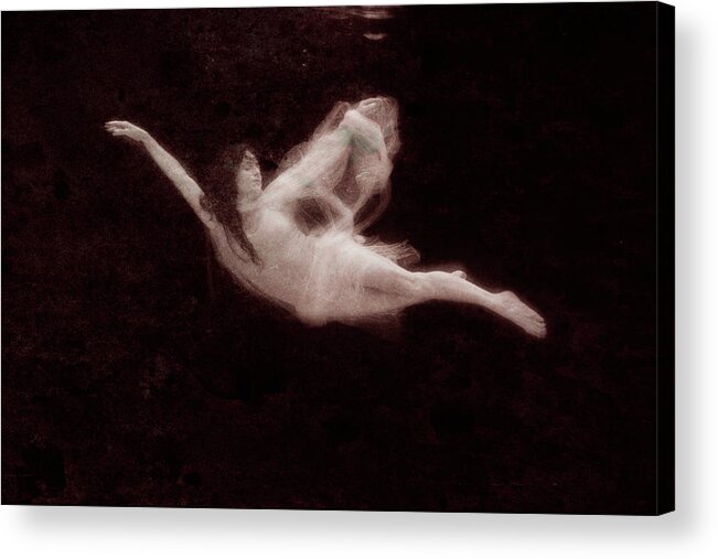 Underwater Acrylic Print featuring the photograph Floating by Dan Friend