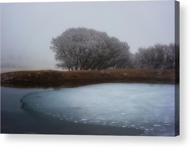 Co Acrylic Print featuring the photograph Hoar Frost #3 by Doug Wittrock