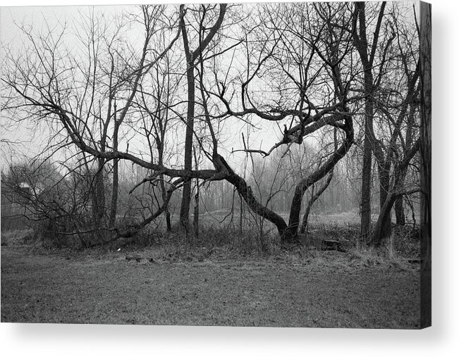 Mercer Park Acrylic Print featuring the photograph Mercer Park, 2020 #3 by Stephen Russell Shilling